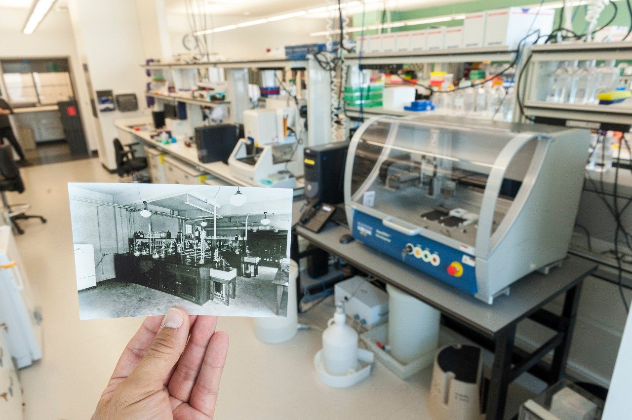 在我们扎耶德研究大楼内，MD安德森的原始实验室与新实验室的一张年代久远的照片并排摆在一起。乐动体育LDsports中国