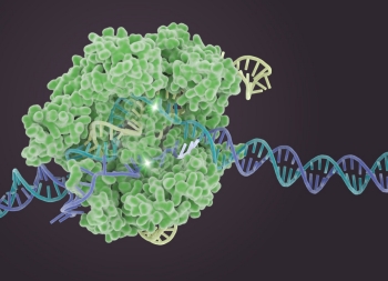 江实验室概述crispr cas9