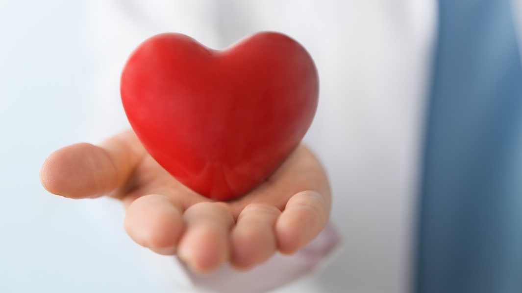 心脏的照片，如果没有MD安德森采取的特别预防措施，辐射治疗会对心脏产生不利影响。