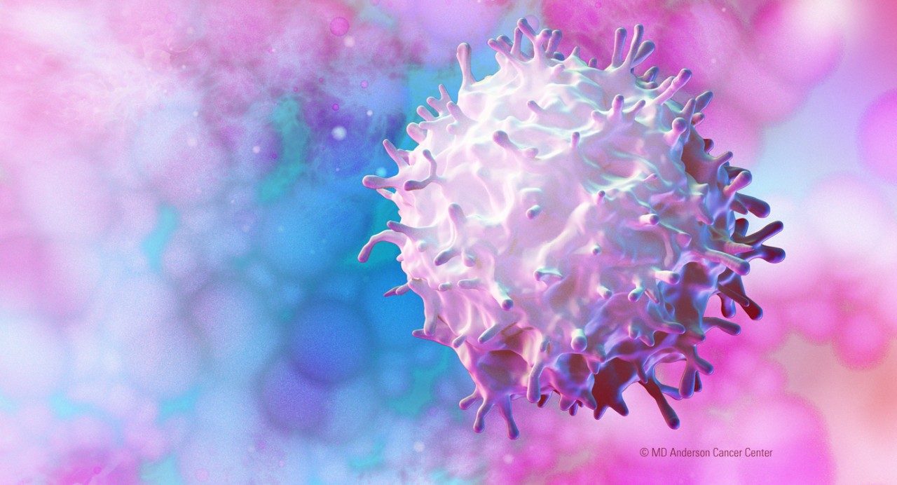 图像:用免疫疗法治疗乳腺癌