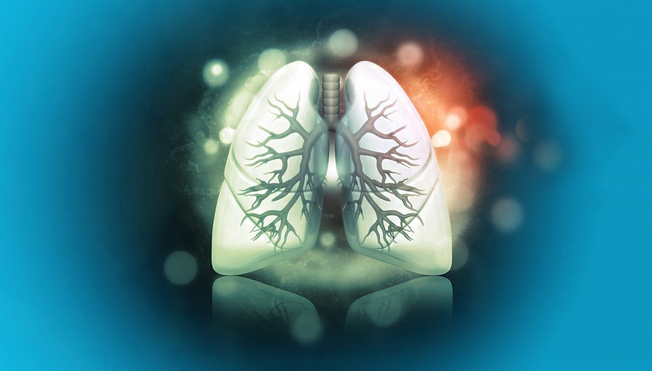 蓝色背景上的肺图像