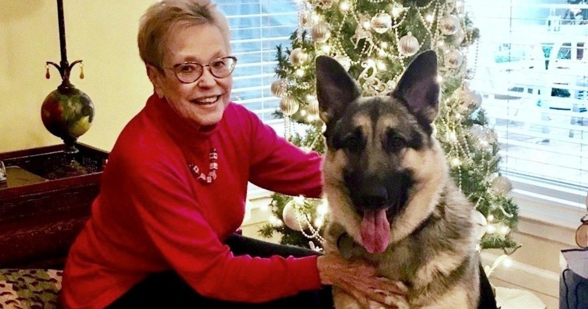 与她的服务狗，汉斯的肺癌幸存者南希白色，在圣诞树前面