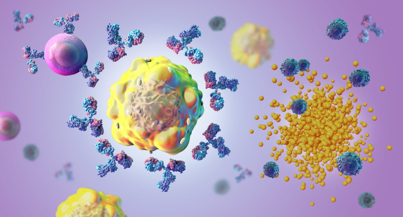由个性化mRNA疫苗产生的外源蛋白片段产生的抗体识别结直肠癌细胞并向杀伤t细胞发出信号以摧毁它。