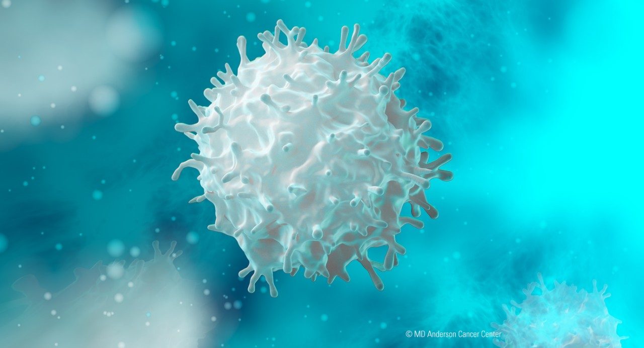 T细胞的插图