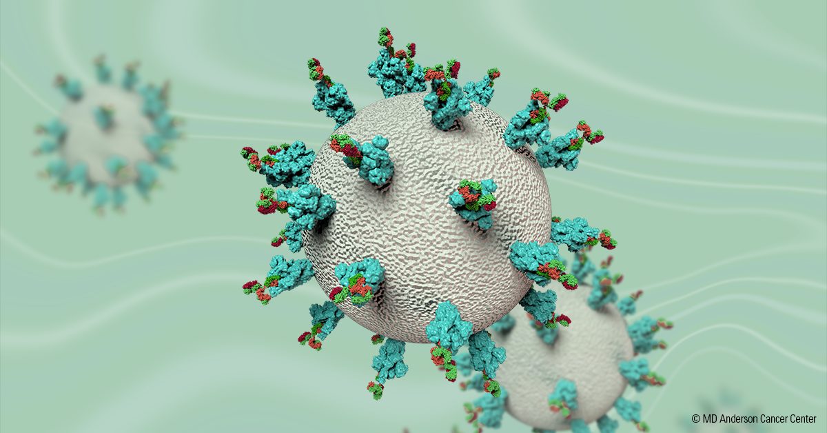 用抗体说明SARS-CoV2，对COVID-19有反应的冠状病毒