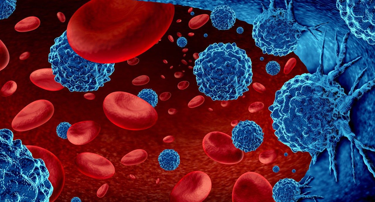 用蓝色癌细胞在血液中漂浮在血液中的红细胞的说明