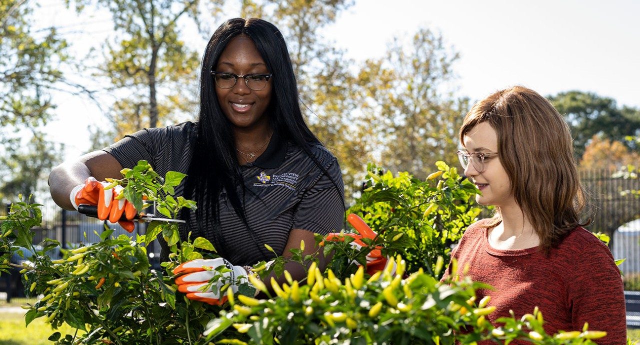 Two women are standing side-by-side in a garden. A Black woman is cutting a plant while another woman with glasses and red hair looks on.