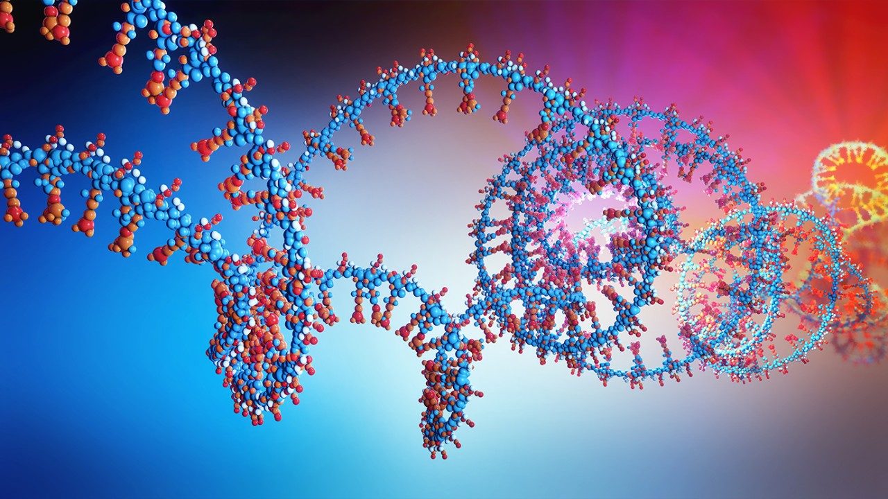 医学插图解除螺旋的DNA