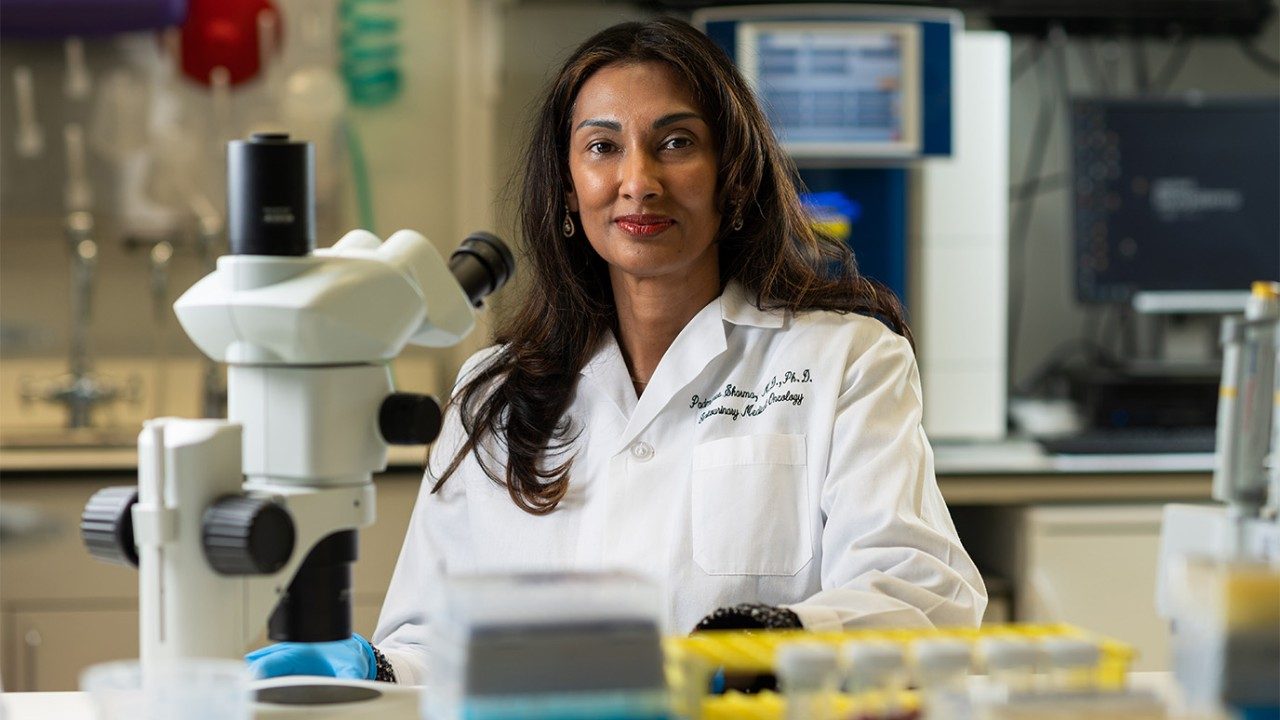 免疫治疗研究员及Padman乐动体育LDsports中国ee Sharma医生,医学博士博士,站在她的实验室,穿着她whitecoat。