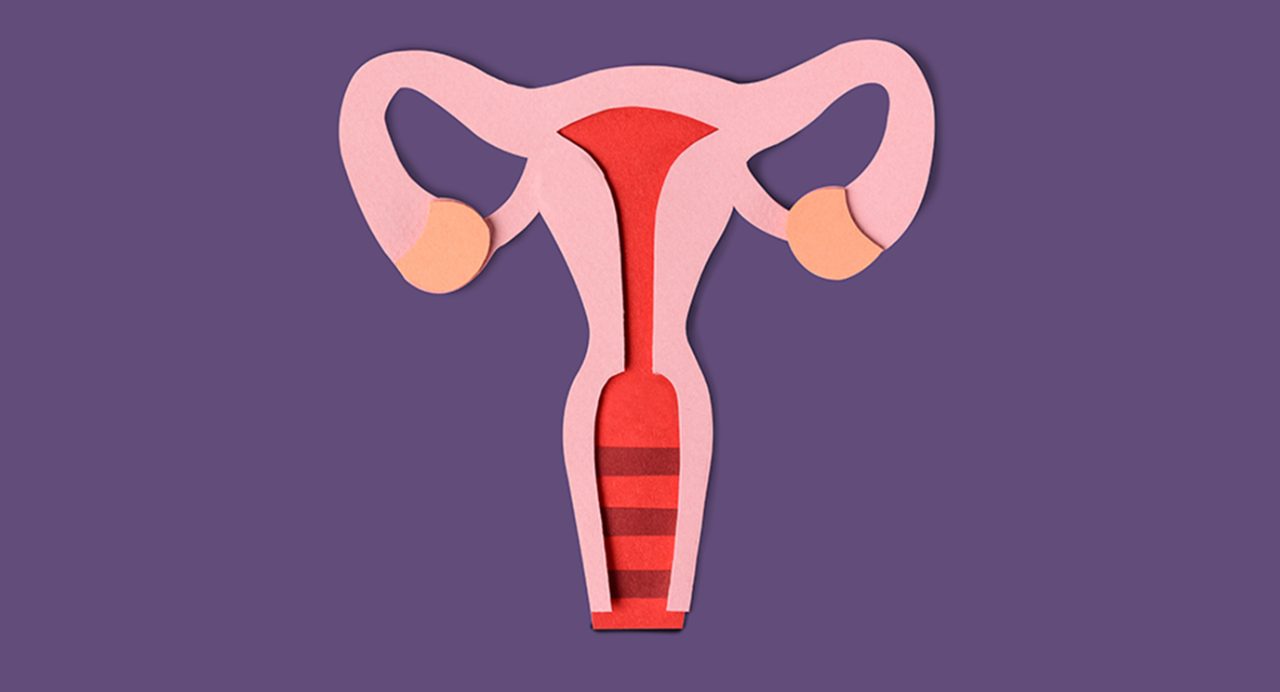女性生殖器官的程式化纸拼贴