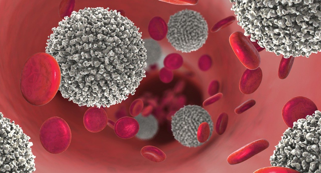 医学图解健康红色小板和癌症白细胞漂移