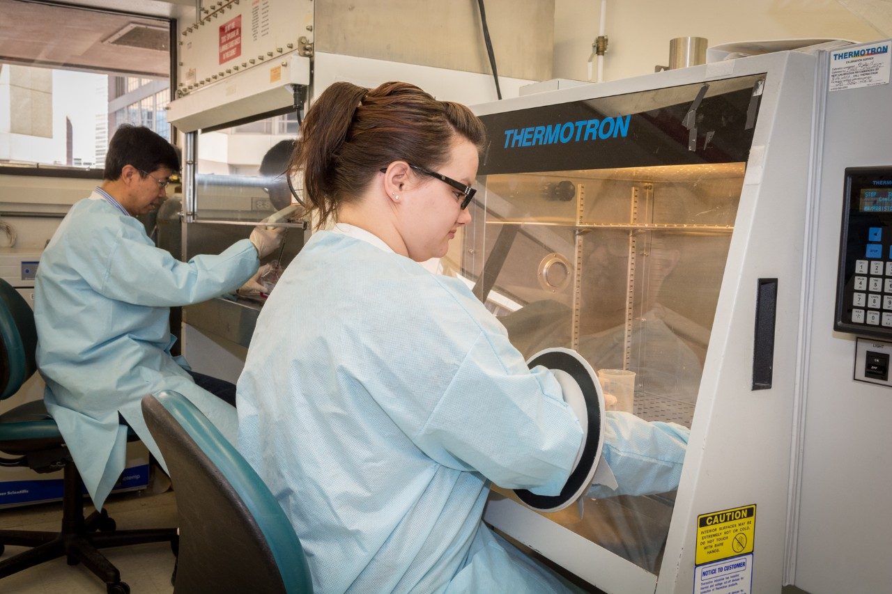 在培训实验室学习标本处理、组织培养和细胞遗传学分析