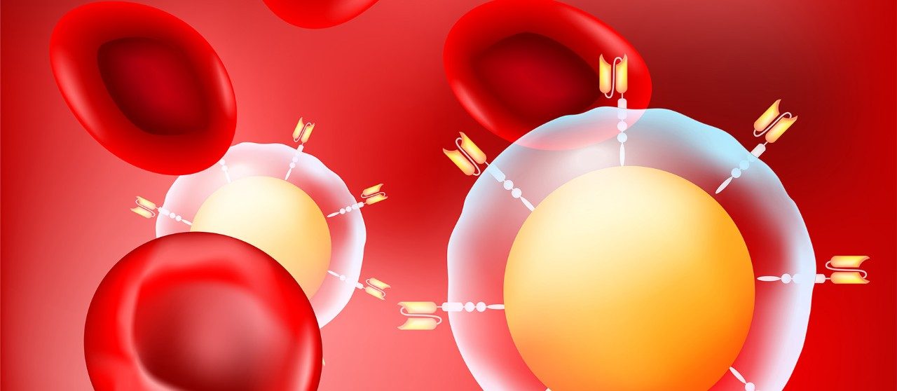 CAR T细胞疗法和血细胞的图形