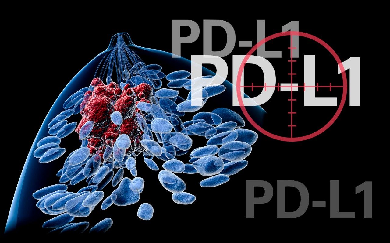 PD-L1抑制免疫系统