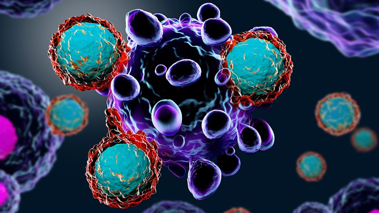 免疫系统的T细胞攻击癌细胞的免疫治疗肺癌