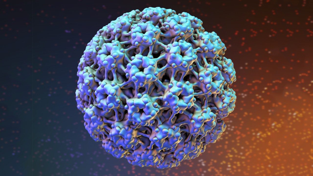 HPV病毒的插图
