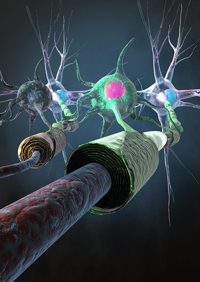 胡实验室研究乐动体育LDsports中国