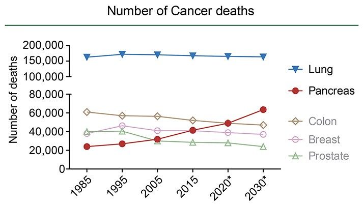 线图显示肺，胰腺，结肠，乳腺癌和前列腺癌的癌症死亡数。肺和胰腺癌是最致命的癌症形式。