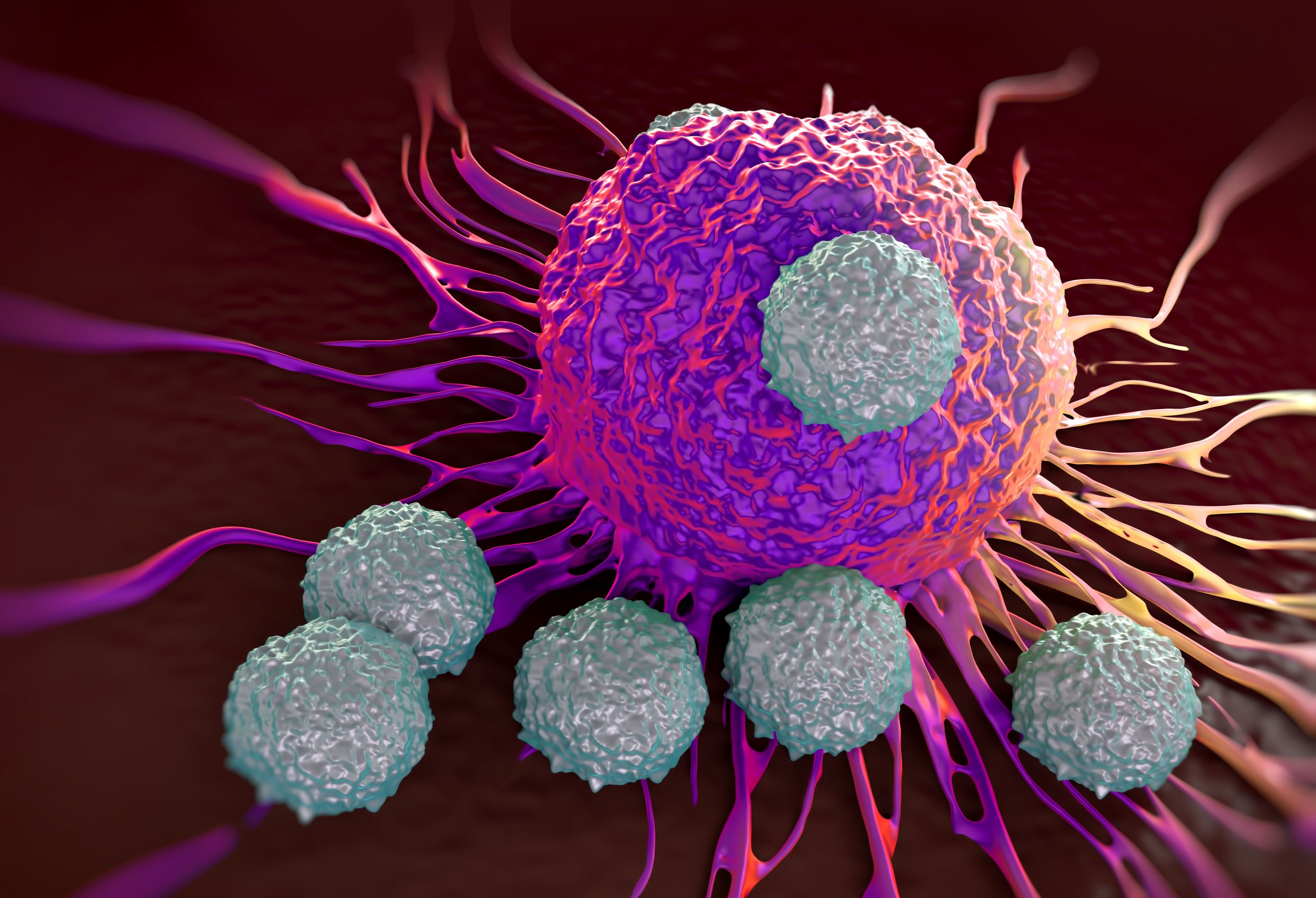 在免疫疗法的帮助下，T细胞可以对抗癌症。