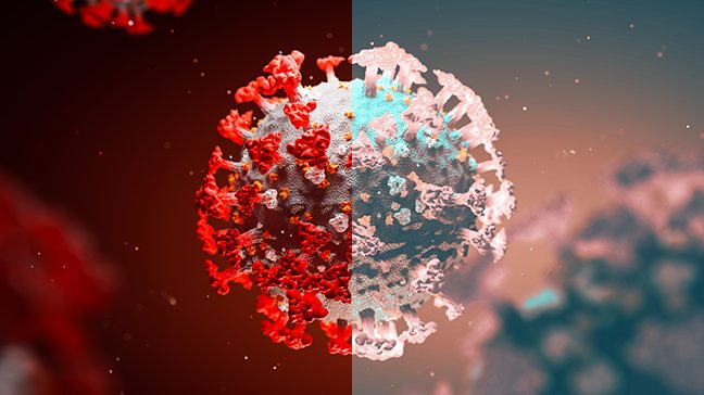 COVID-19病毒的3D插图，一边显示红色，一边显示浅粉色